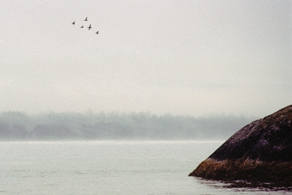 Headland